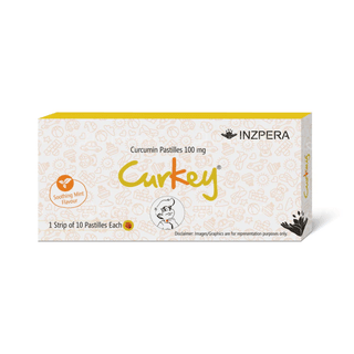 Curkey Mint Flavour Pastille 10